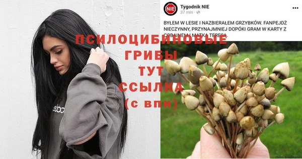 кокс Алзамай